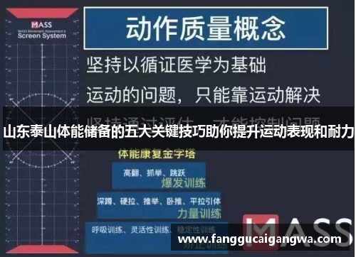 山东泰山体能储备的五大关键技巧助你提升运动表现和耐力 山东泰山体能储备的五大关键技巧助你提升运动表现和耐力