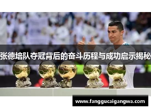 张德培队夺冠背后的奋斗历程与成功启示揭秘