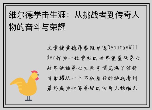 维尔德拳击生涯：从挑战者到传奇人物的奋斗与荣耀